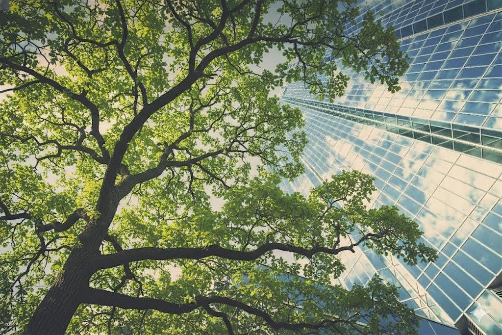 Growing with Purpose: Culture That Scales