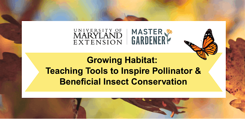 Train-the-Trainer Day: Teaching Tools to Inspire Insect Conservation