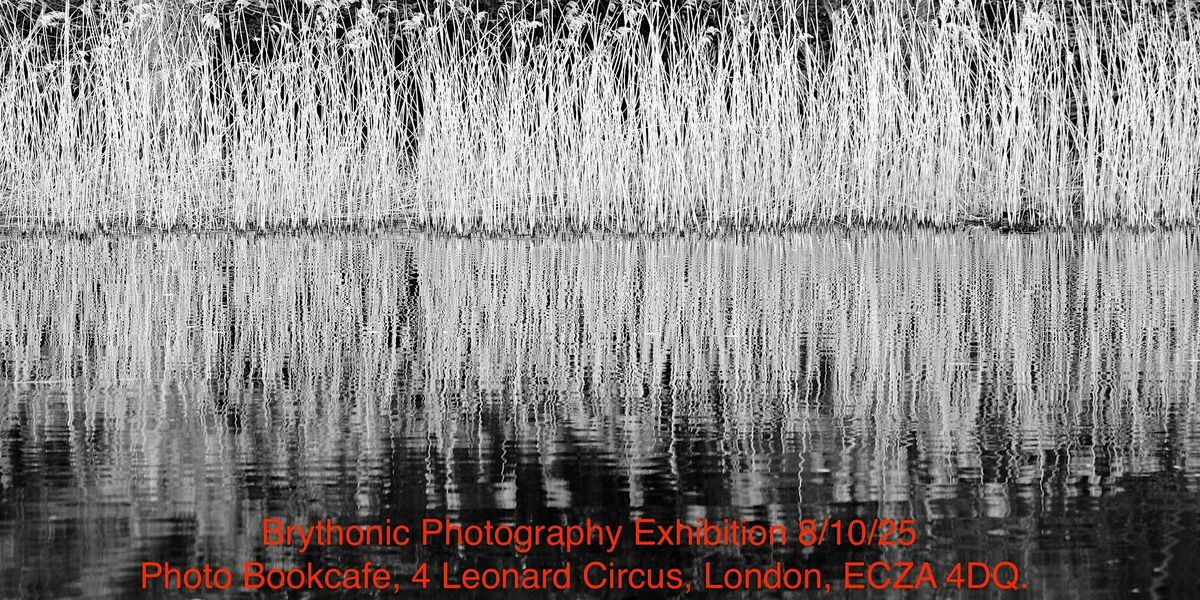 Brythonic Photography Exhibition by Dylan Garcia