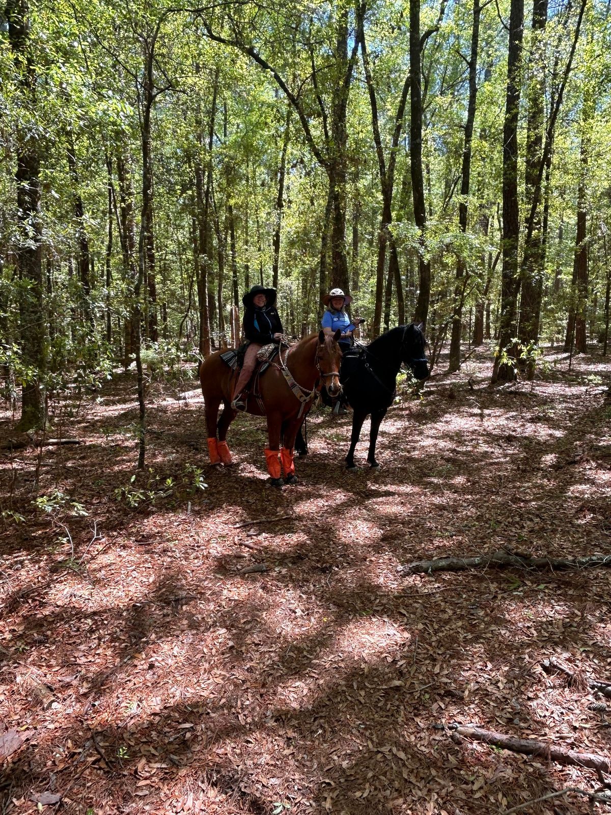 Day Ride at Latta Nature Preserve (Members Only), arrive at 10:00, ride out at 10:30 