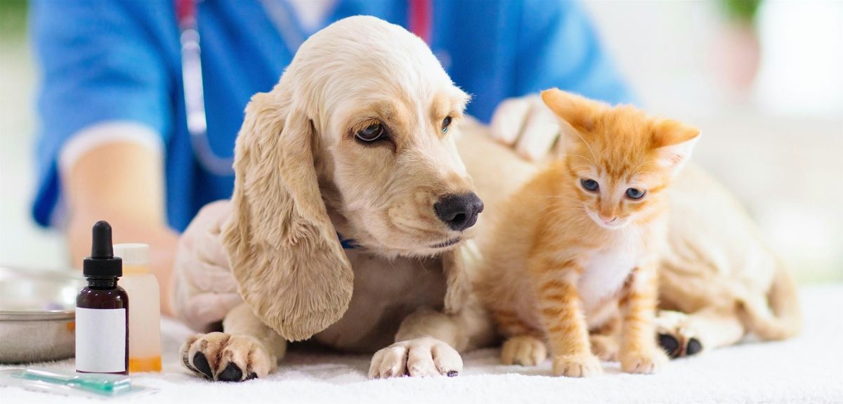 Pet First Aid + CPR for Pet Parents