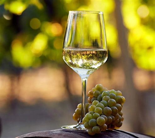 Grapes of Gratitude