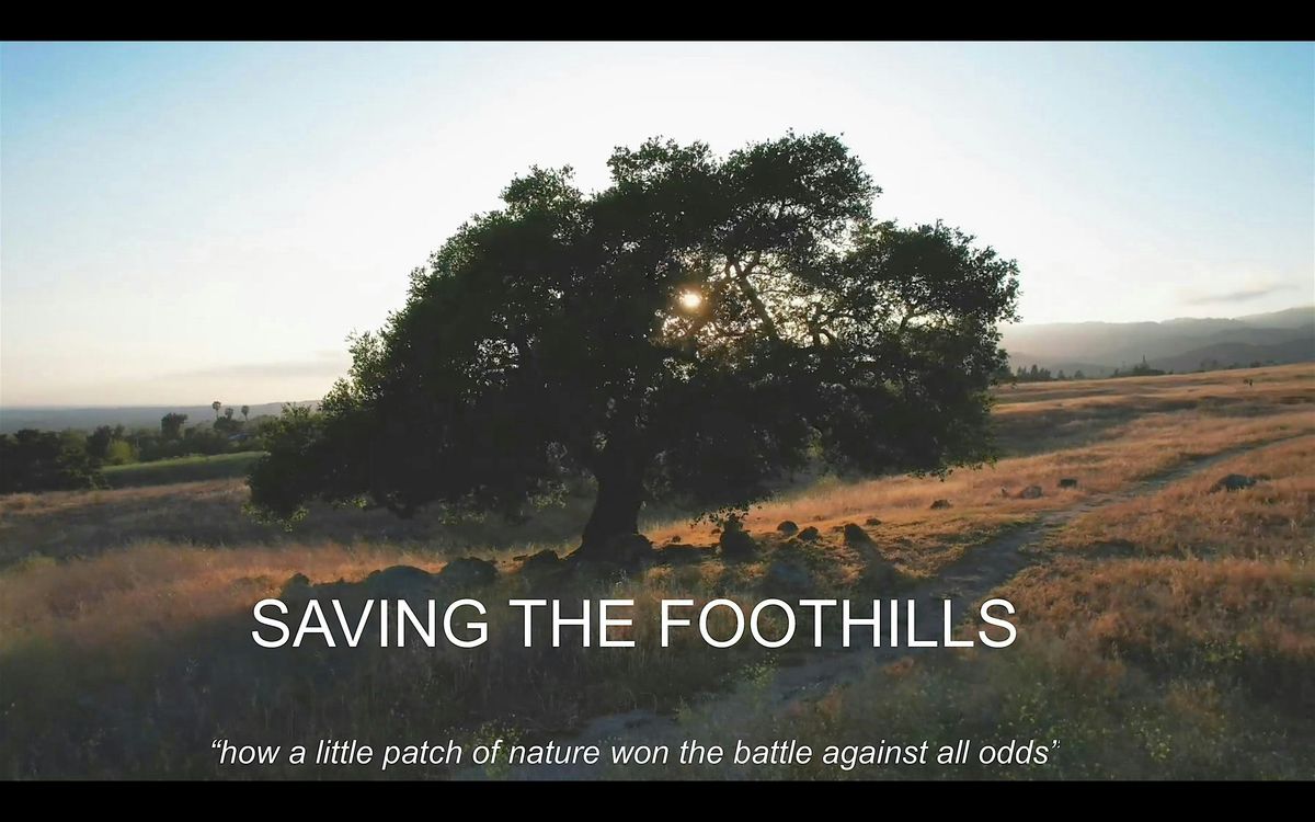 Saving The Foothills