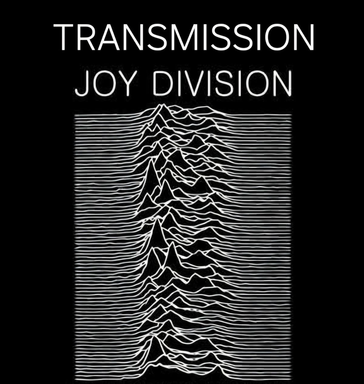 TRANSMISSION JOY DIVISION Tribute