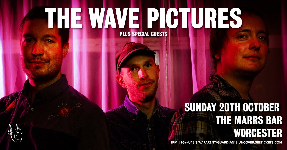 The Wave Pictures