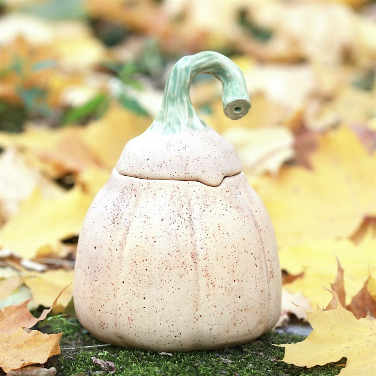Intro to Pottery: Clay Pumpkins