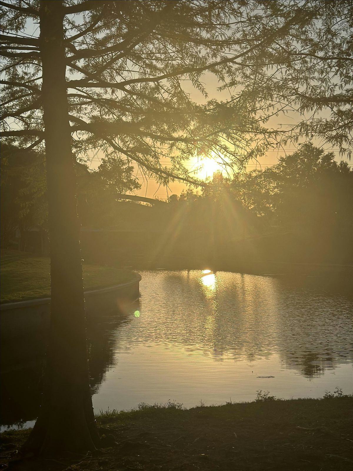 SoulFuel Heart Charge Vitruvian Park| 15 Min Upright Yoga + 45 Min Walk