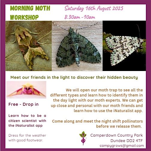 Moth Release Morning