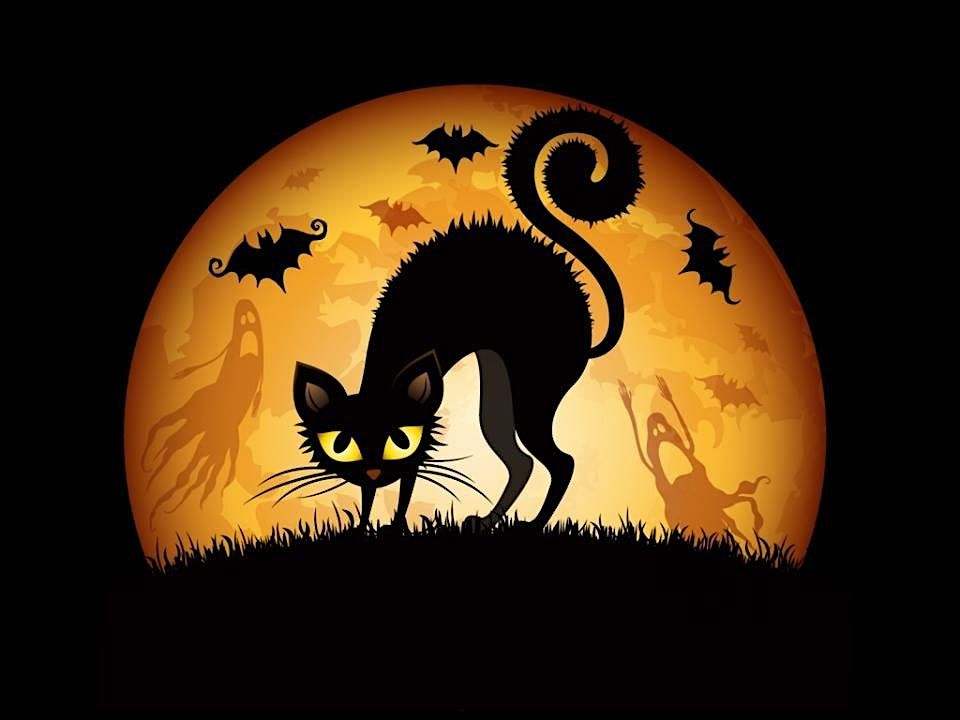 Halloween Donation Drive Saturday, October 25th, at Second Hand Purrs!!!!!!