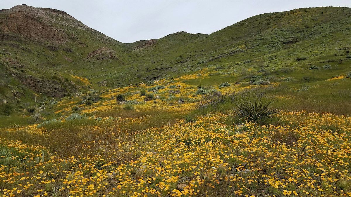 Butterfly Hike