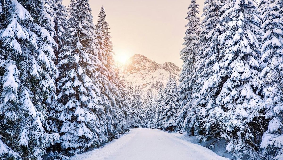 Echoes of December