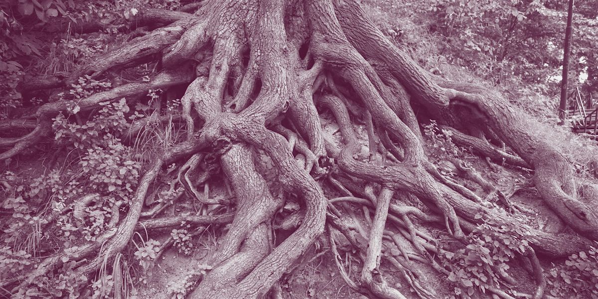 Nourish: Feeding Our Brains, Feeding Our Guts