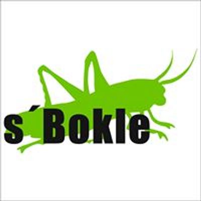 Bokle