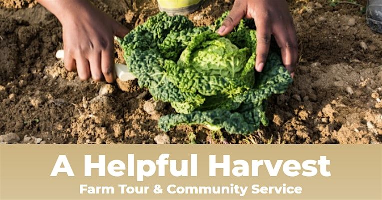 A Helpful Harvest: Farm Tour & Community Service