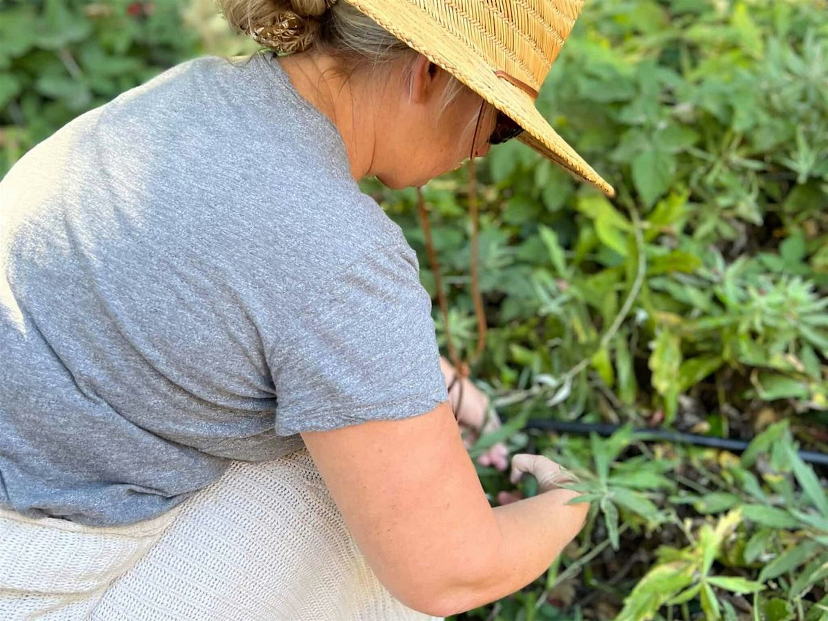 Connecting with Native Plants
