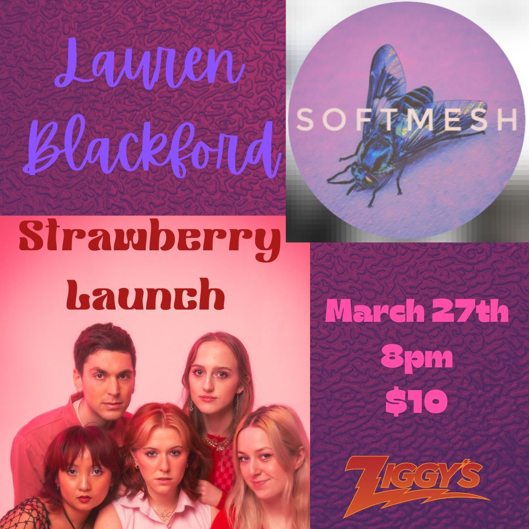 Strawberry Launch\/\/Lauren Blackford\/\/Soft Mesh 