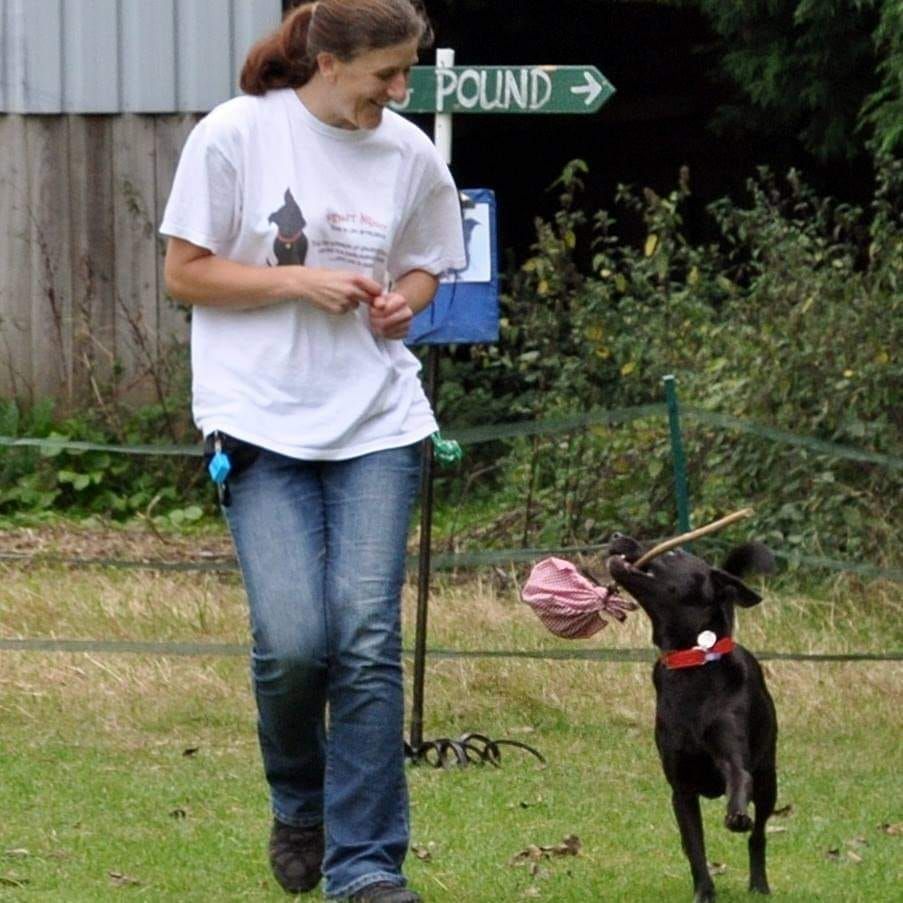 6 week obedience, dance and tricks course!