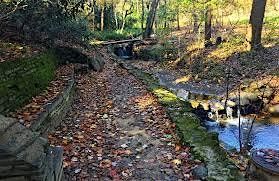 Bird Walk at Dumbarton Oaks Park