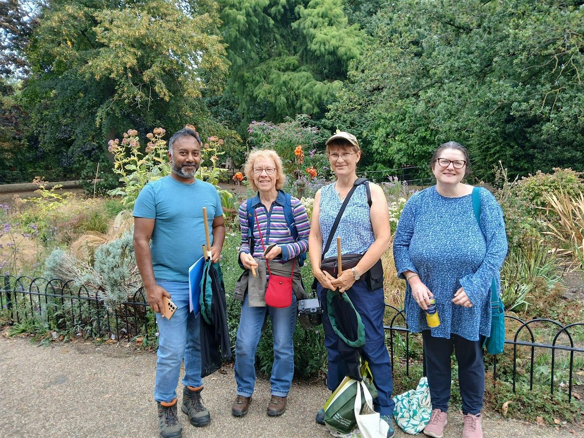 Bumblebee ID & Bee Walk Survey at The Ridgeway, Thamesmead