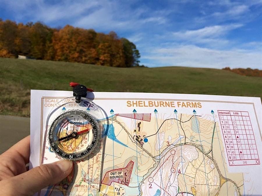 Orienteering