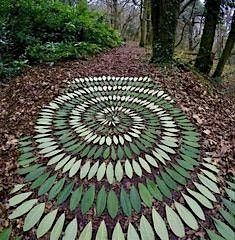 Forest School Leader - Level Three  Autumn Course