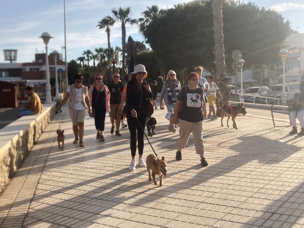 Sponsored dog walk\/ Paseo solidario perruno 