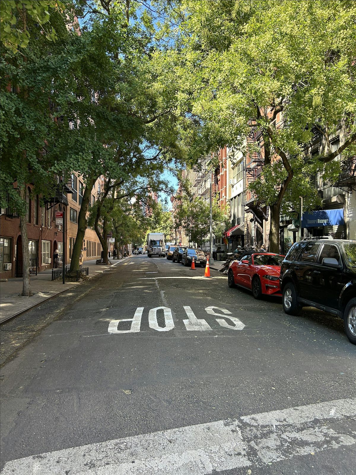 Freewheelin\u2019 Greenwich: A Bob Dylan Tour of Music, Food & Hidden History