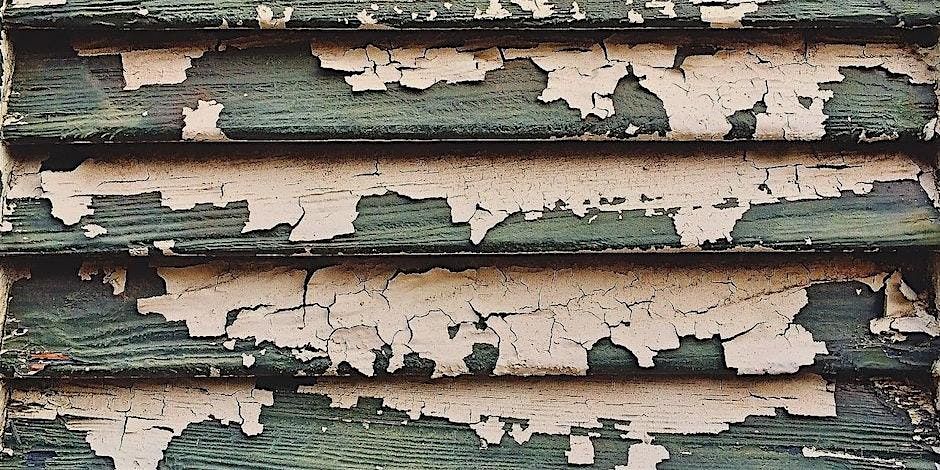 IN PERSON - Lead Poisoning Prevention  and Mold Workshop