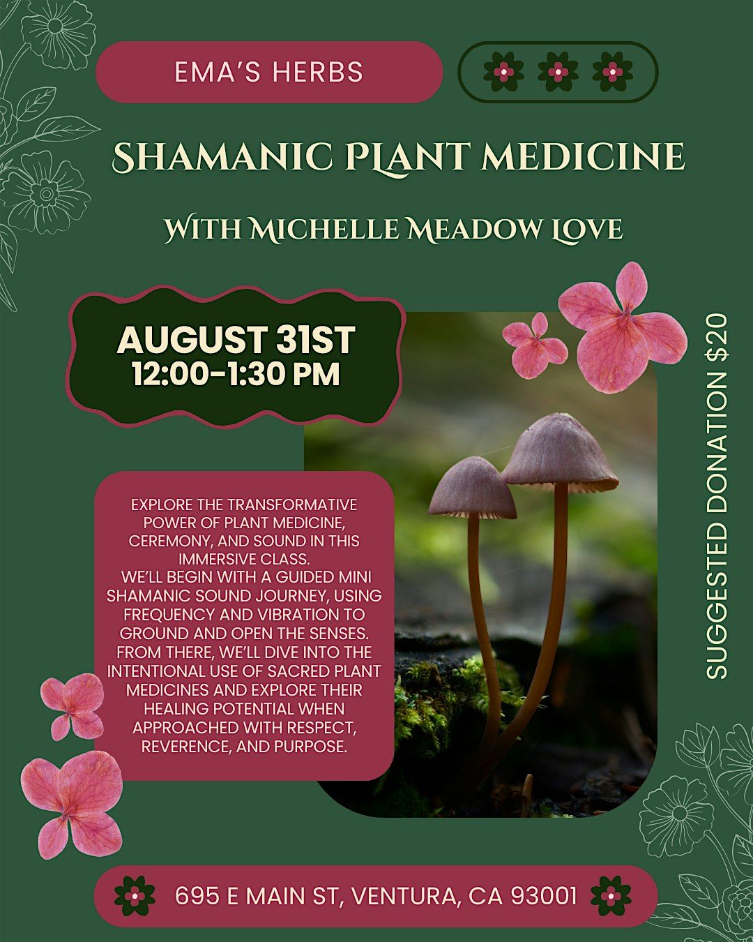 Shamanic Plant Medicine with Michelle Meadow Love