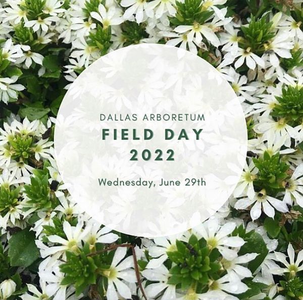 2022 Dallas Arboretum Plant Trials Field Day