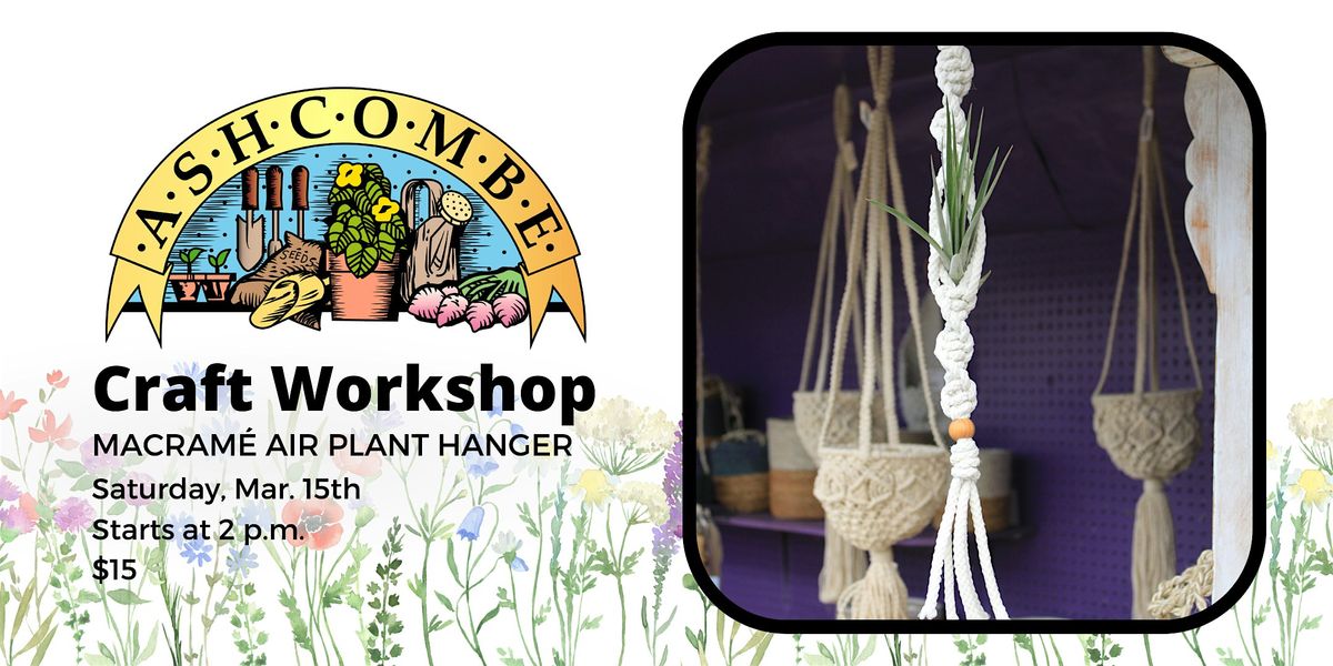 Macrame Air Plant Hanger