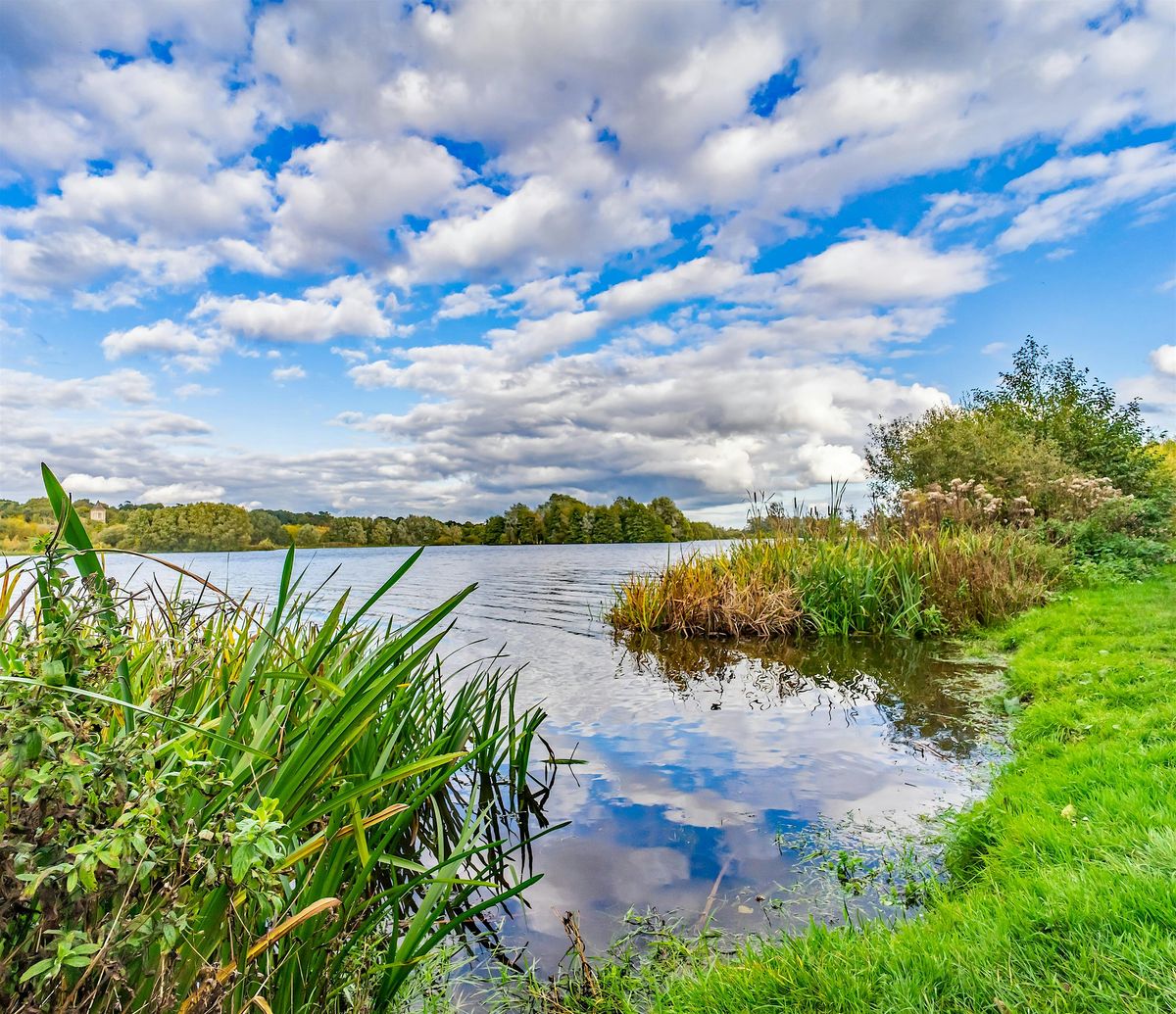 Norfolk Netwalking @ Whitlingham Country Park