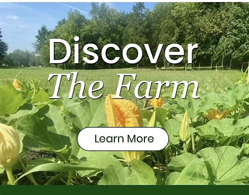 EverGrow Farm fall Fest