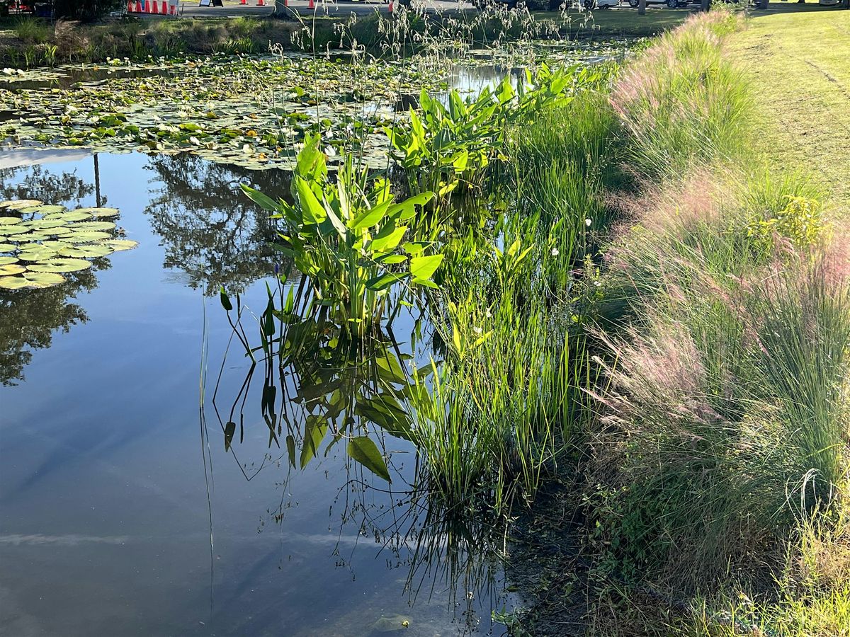 Living on a Few Acres - Pond Management