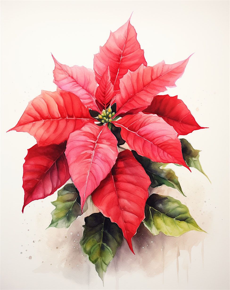 Tea Time! Poinsettia  in Watercolor - Paint & Sip (Tea)