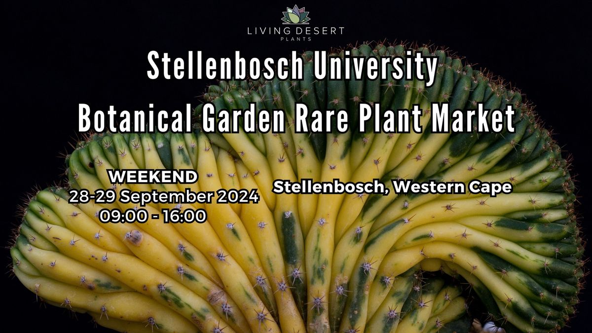 Living Desert Plants @ Stellenbosch University Botanical Garden Rare & Collectible Plant Market 