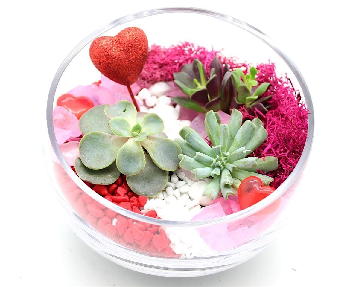 Family Plant Party: Make a Succulent Terrarium