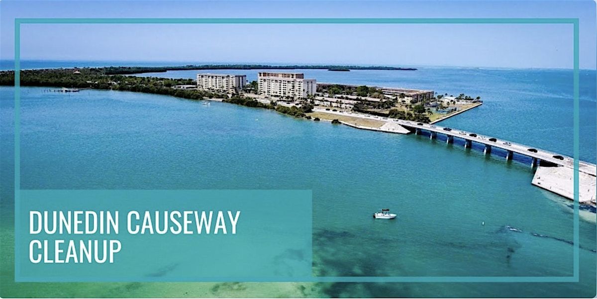 Hurricane Eddie's Dunedin Causeway Cleanup