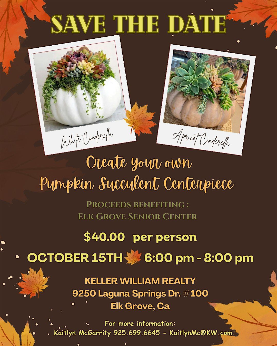 Craft Night - Succulent Pumpkins