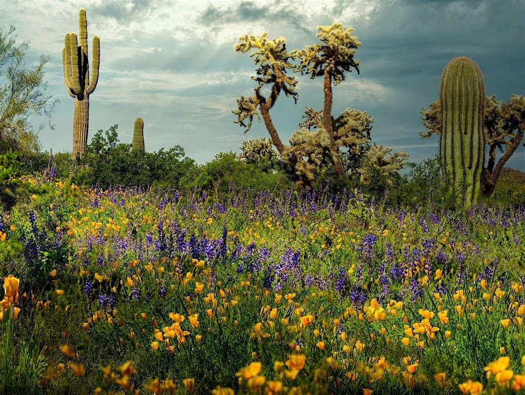 Spring Edible & Medicinal Plant Walk