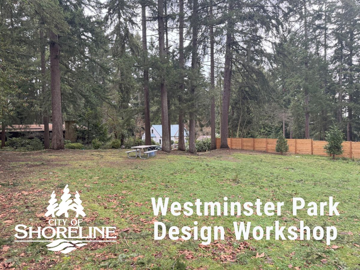 Design Workshop: Westminster Park