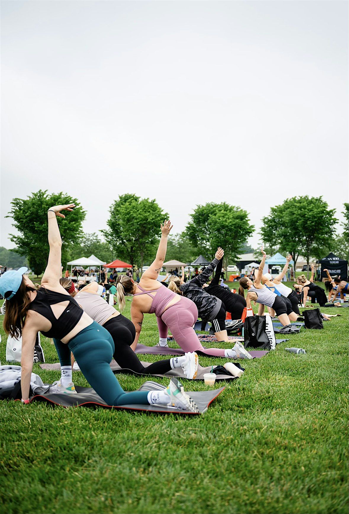 Yoga + Wellness Louisville