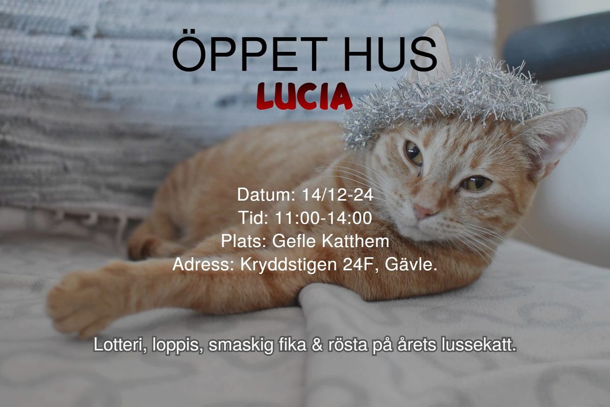 LUCIA \u00d6PPET HUS \ud83d\ude3b\ud83c\udf85