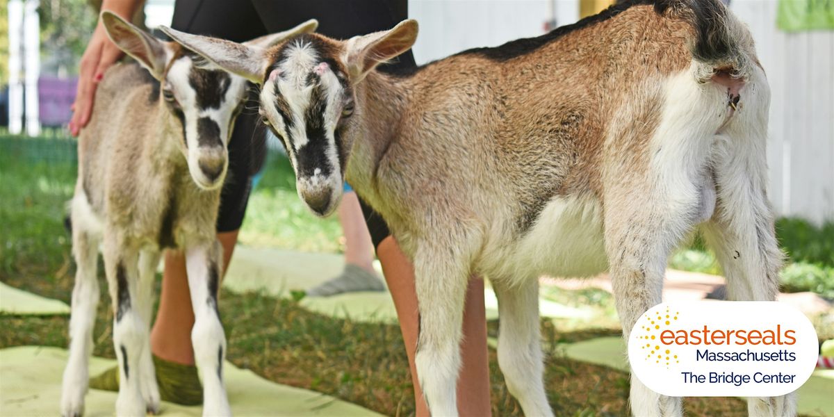 Wellness in Motion: A Family Yoga Adventure with Goats & Sheep