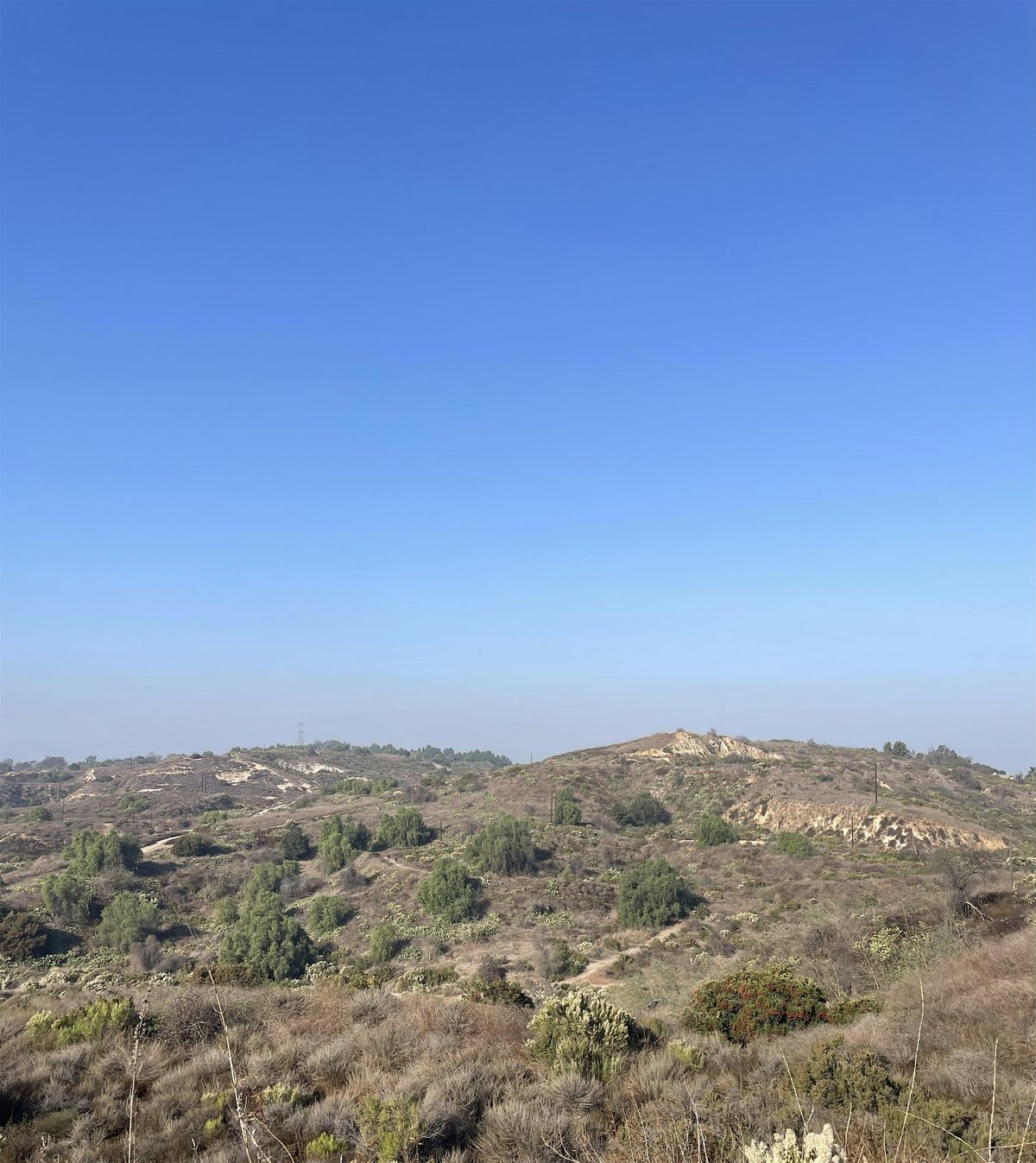 February 9 - Coyote Hills, Robert E. Ward Preserve