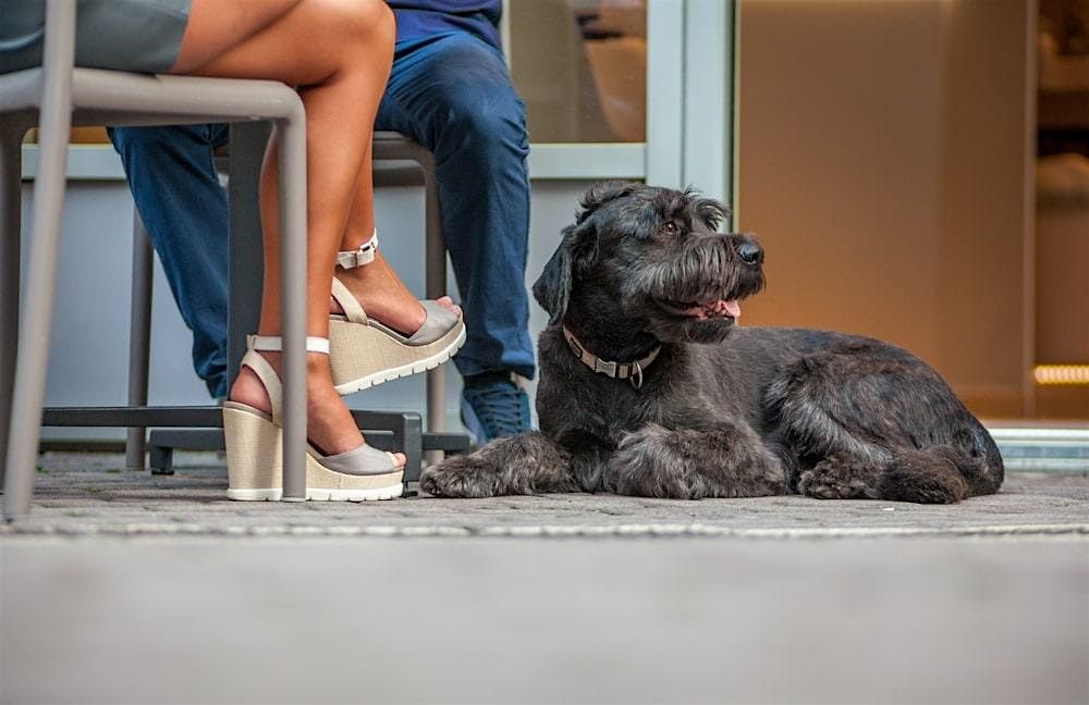 *FLASH SALE 45%* As seen on BravoTV! Blind-Date Matchmaking in Portland