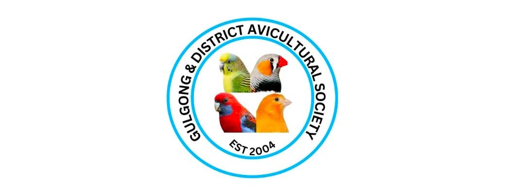 Gulgong Aviculture Bird Club 20th year Show