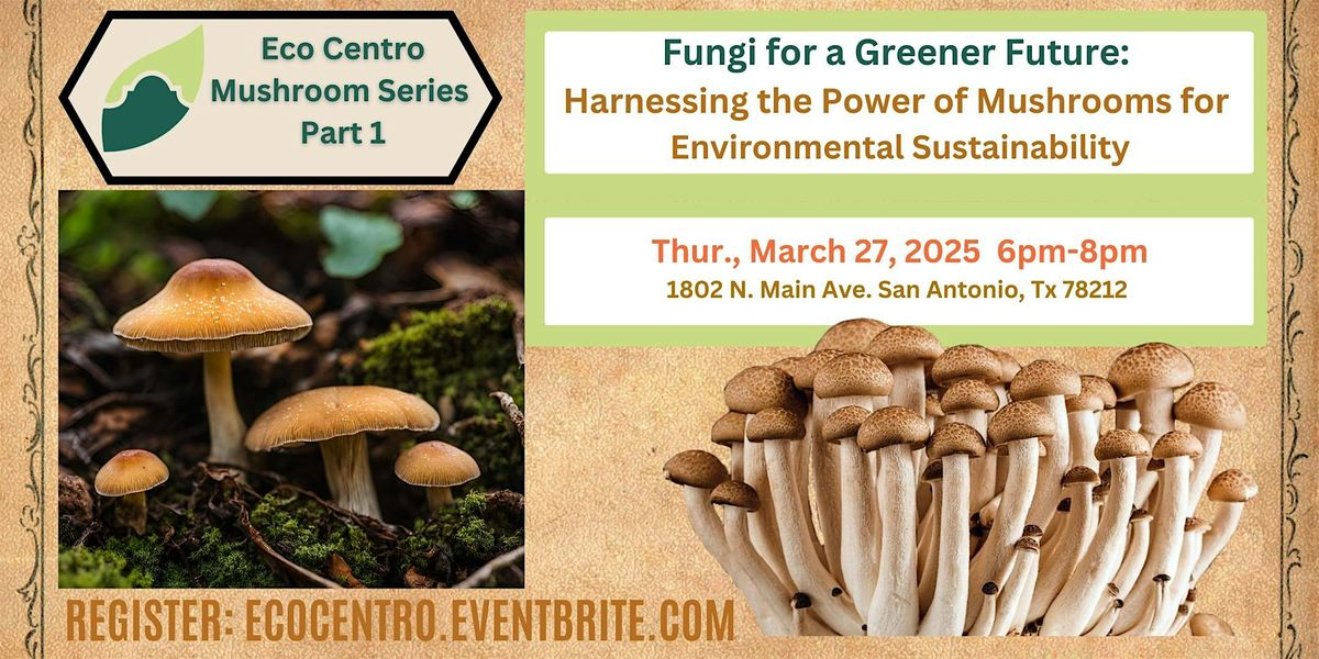 Fungi for a Greener Future: Harnessing the Power of Mushrooms