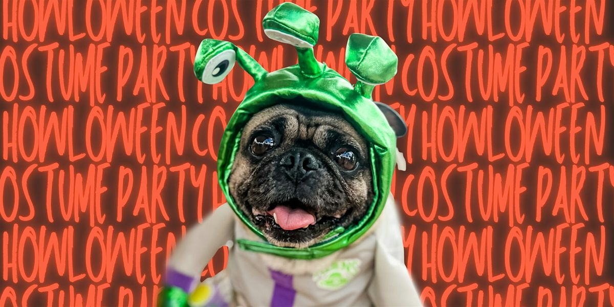 Howl-O-Ween Costume Party