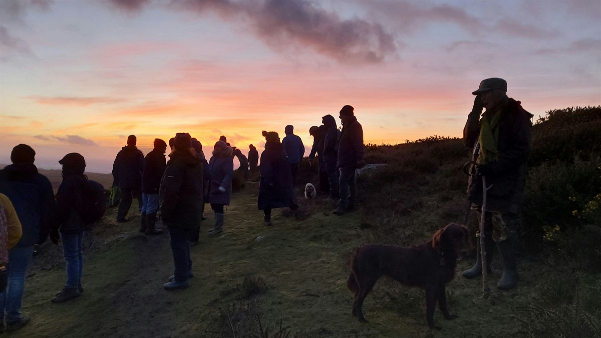 Short Winter Moonlit Walk Helston - accessible